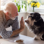 baby boomer man giving dog high five