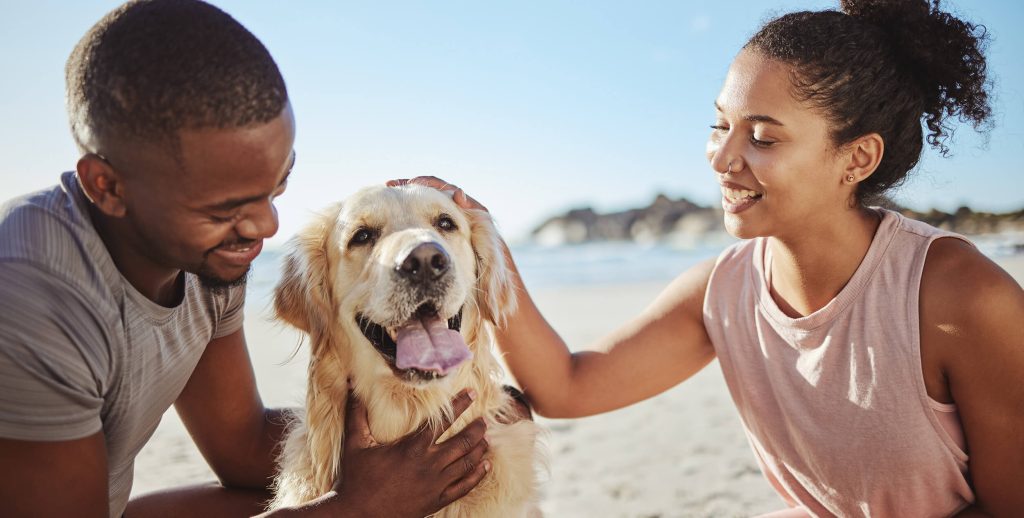 Two people petting a dog on the beach.