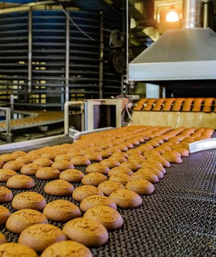 Yummy Apple Crisp cookies on conveyor belt