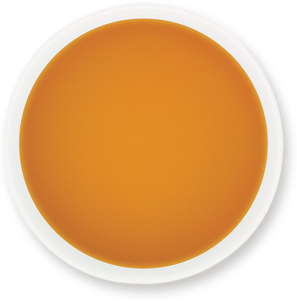 Apple Fruit Juice Concentrate